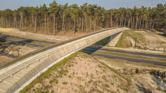 RVB-Bergeijk-bospad-001 RVB-Bergeijk-bospad-001